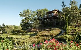 Le Domaine Des Pres Verts Suites & Chambres Avec Jacuzzi Privatif